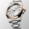 LONGINES CONQUEST Ref. L3.430.5.72.6