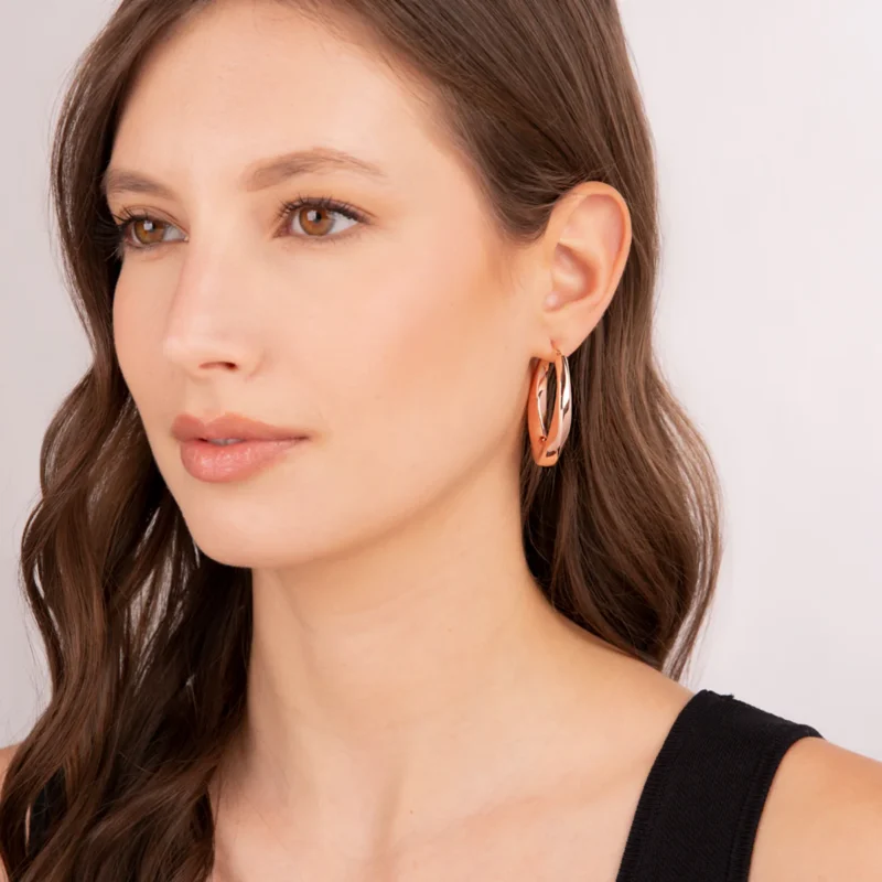 BRONZALLURE Orecchini Purezza ref. WSBZ02044.R